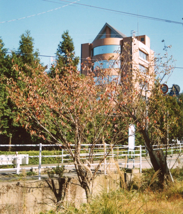 湯屋　乙女健康センター
